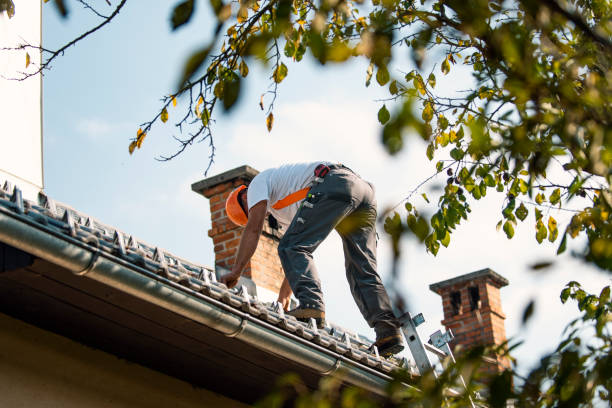 Best Roofing Contractor Near Me  in Tichigan, WI