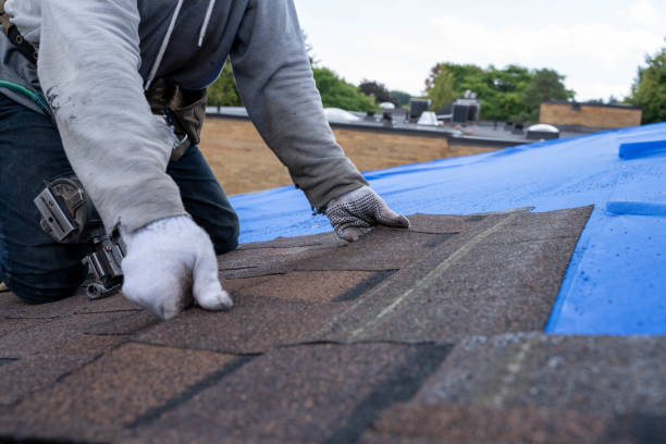 Best Sealant for Roof  in Tichigan, WI